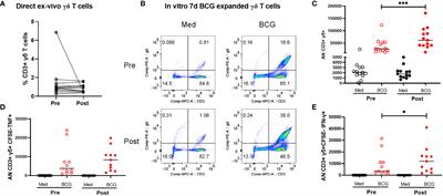 Impact of BCG vaccination on the repertoire of human γδ T cell receptors